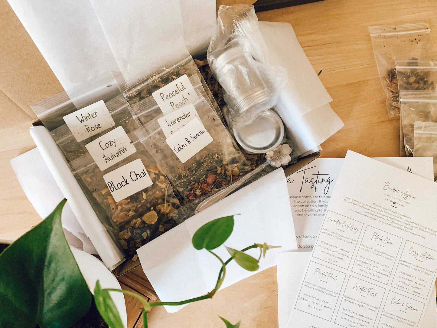 Sampler Starter box